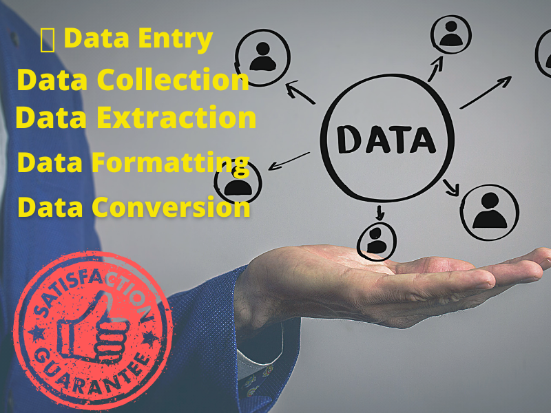 I will be a Virtual Assistant for your Data Entry Pro...