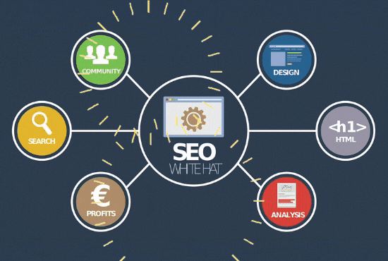 Monthly SEO service for google top Ranking