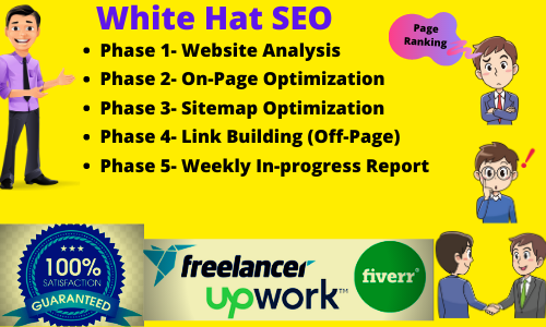 I will do best monthly SEO service for google top ran...