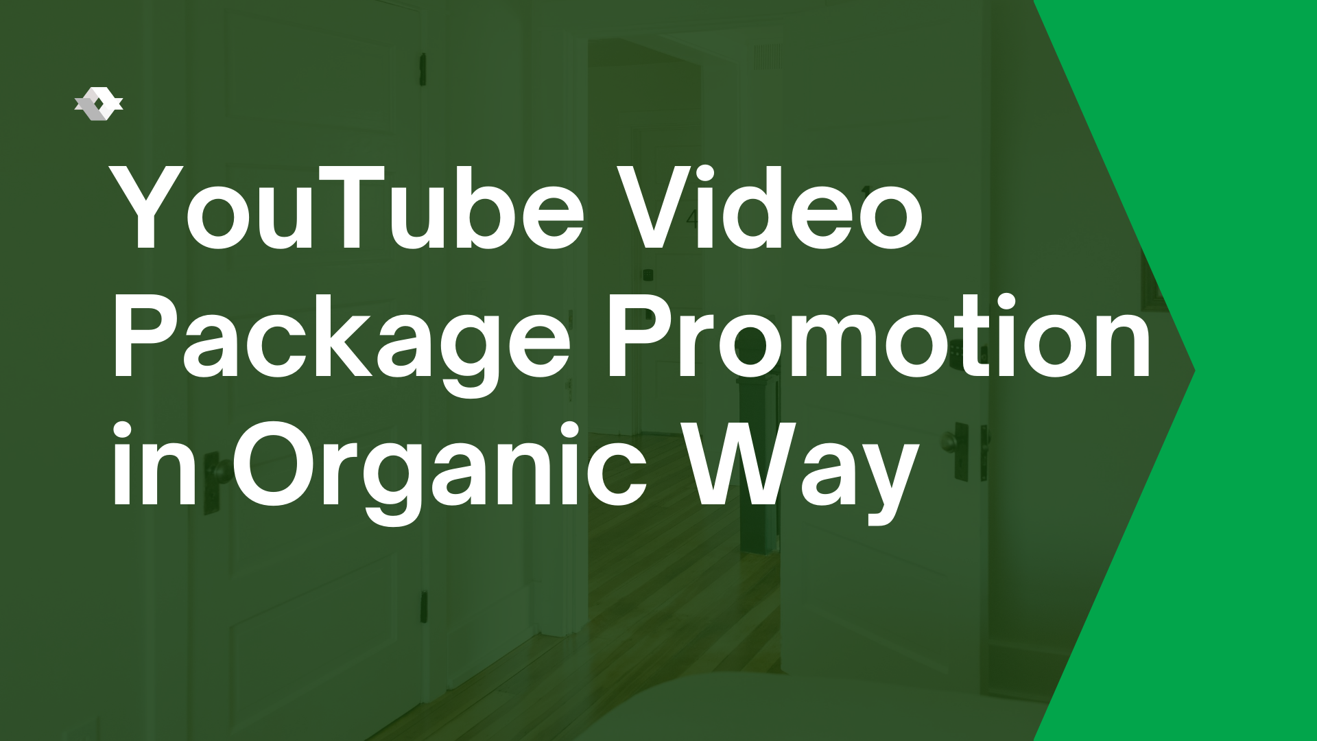 YouTube Video Package Promotion In Organic Way All in...