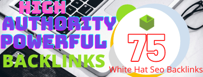 I will do unique domain SEO backlinks 75 on da100 tf1...