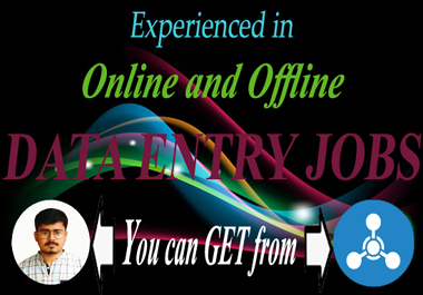 I will do offline and online data entry