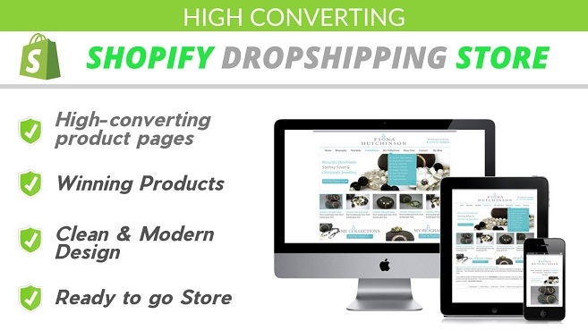 I will Create High Converting Shopify Dropshipping St...