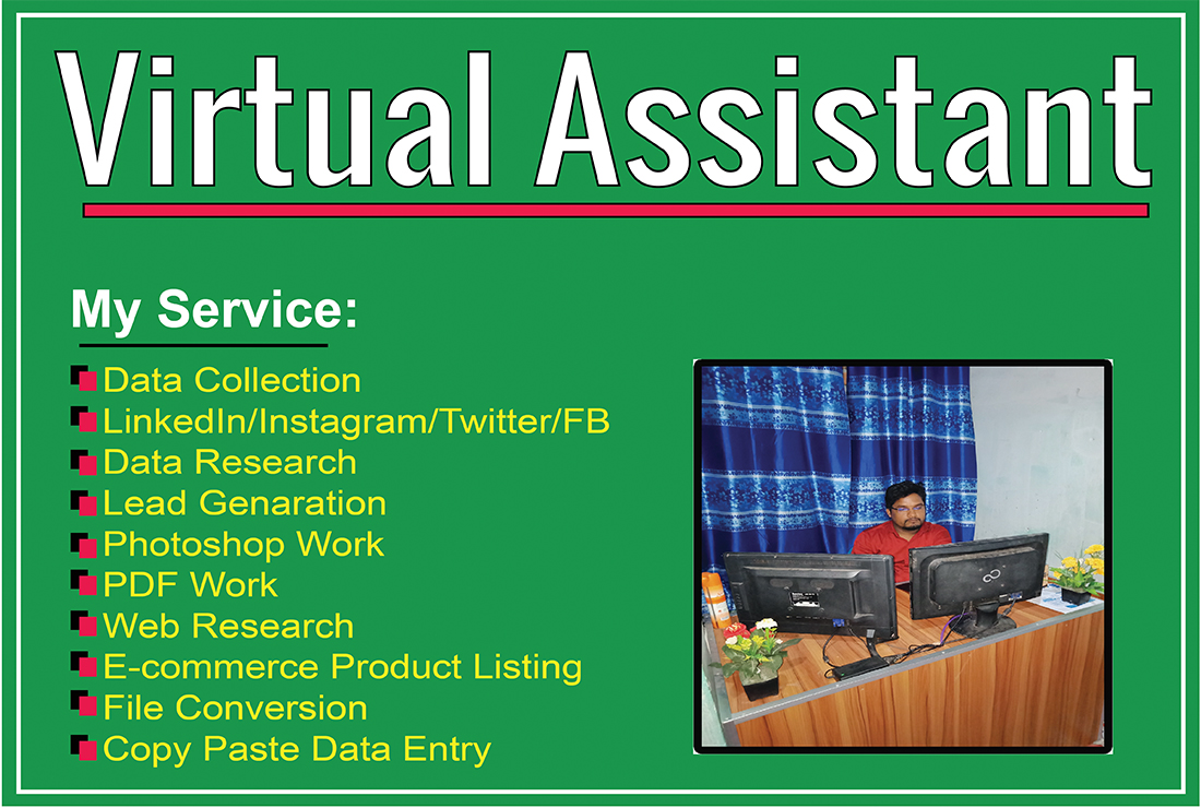 I will be your virtual assistant and do data entry, ...
