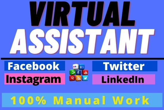 I will be your virtual manager and personal SEO assis...