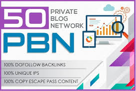 i will do 50 high quality pbn homepage backlink