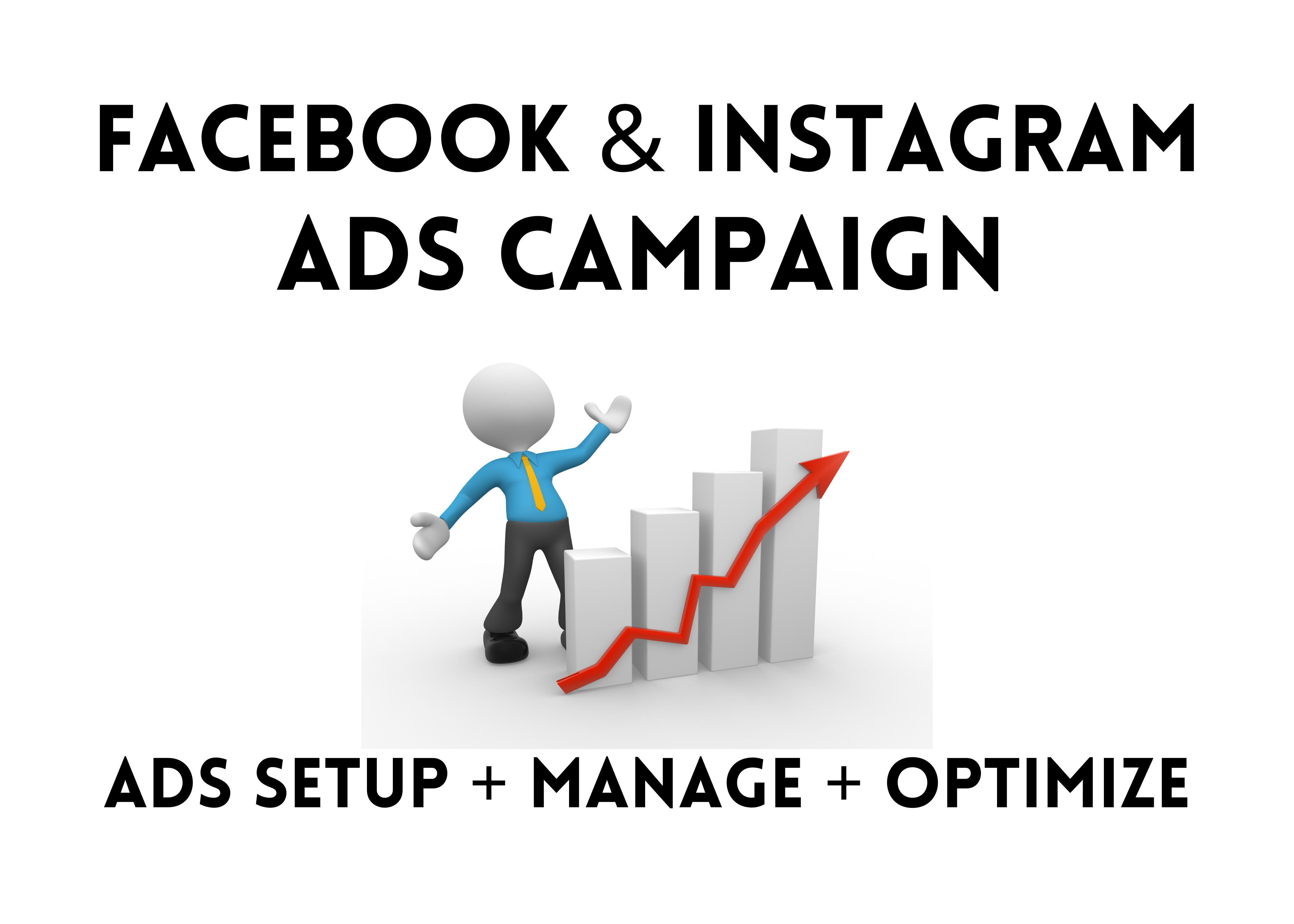 I will be your facebook ads campaign manager for your...