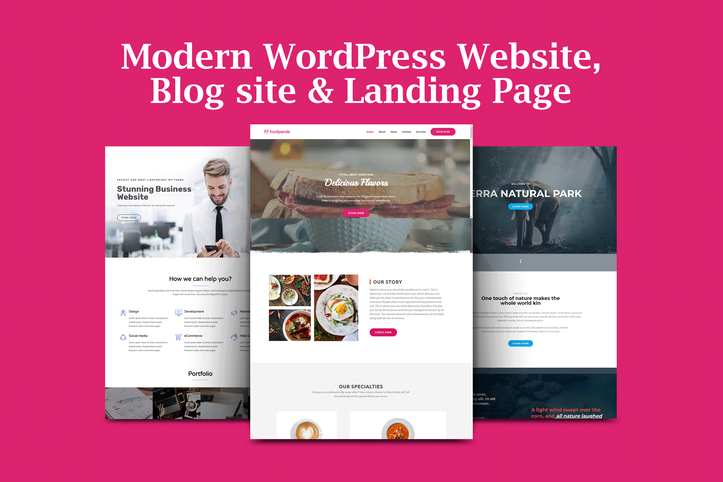 I will create WordPress Website, Blog Site, Affilia...
