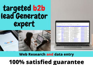 I Will do targeted linkedin and google b2b lead gener...