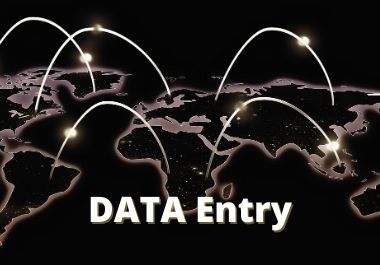 I will do professional data entry, copy paste and ty...