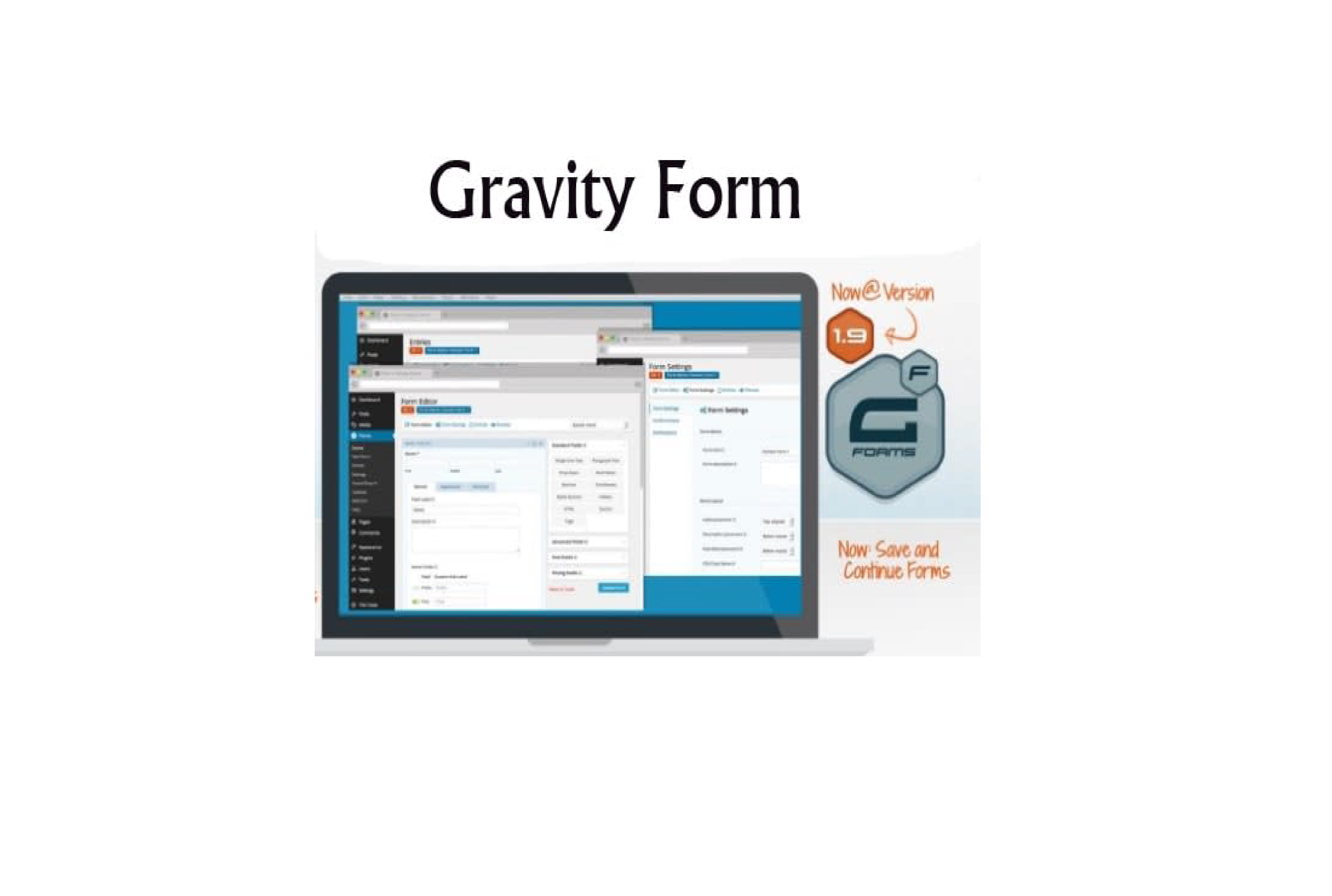 I will design or custom gravity form, contact 7, last...