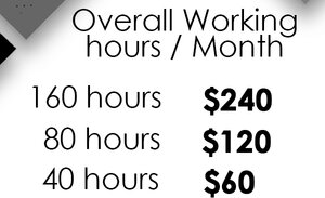 1.5/hr Professional Virtual Assistant VA Services