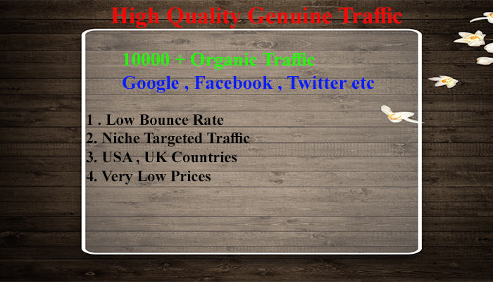 I will drive unlimited genuine web traffic for 30 day...