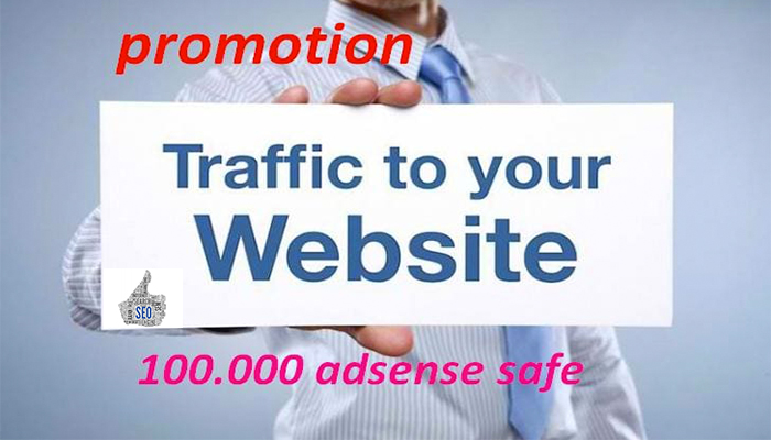 I will bring real traffic, real visitors