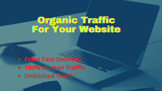 I will provide organic human traffic by using your ke...
