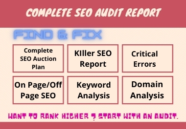I will do professional seo audit report for your webs...