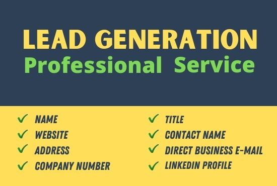 I will do professional b2b lead generation and build ...