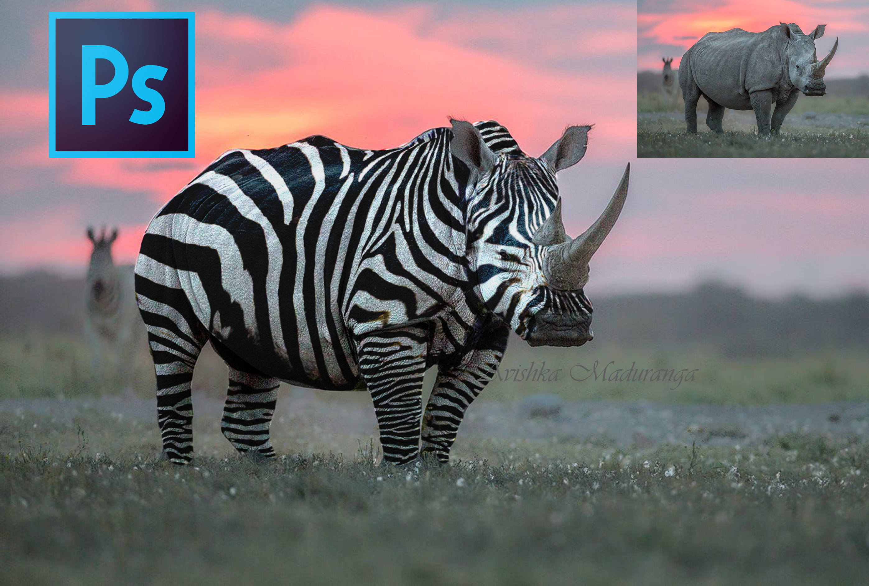 I will do image editing, background removal, oil pa...
