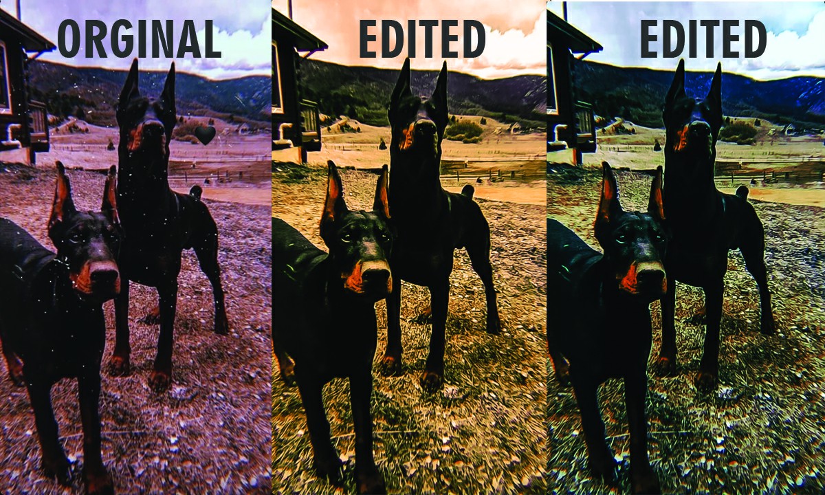 I will do any kind of perfect editing for you
