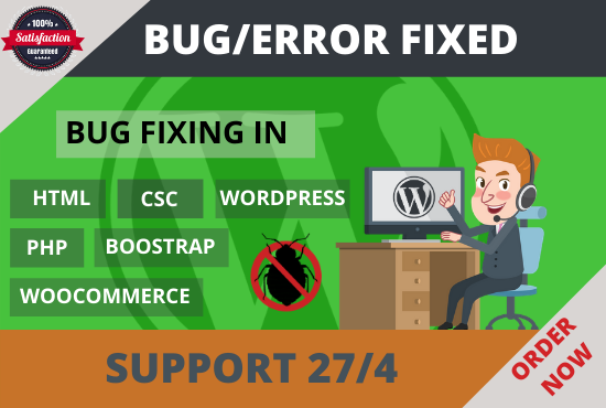 I will fix your wordpress website bug or error just 1...
