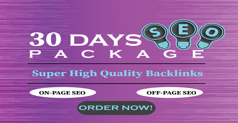 I will do monthly SEO service with high quality back ...