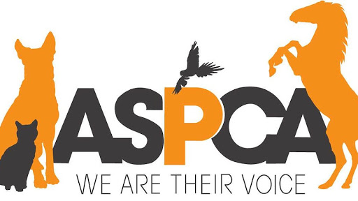 you will get your pet and animals content publish on ...