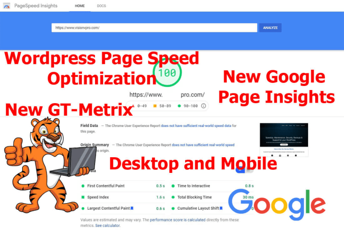 I Will Optimize your WordPress Site for for google pa...