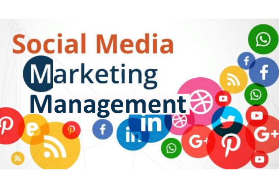 I will do Professional Social Media Marketing Managem...