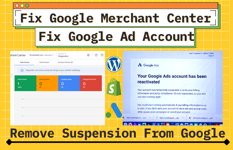 I Will Fix Google Merchant Center Misrepresentation a...