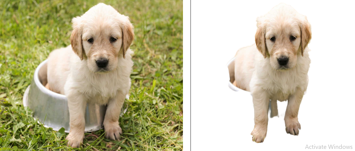 I will do remove background from 10 images within 24 ...