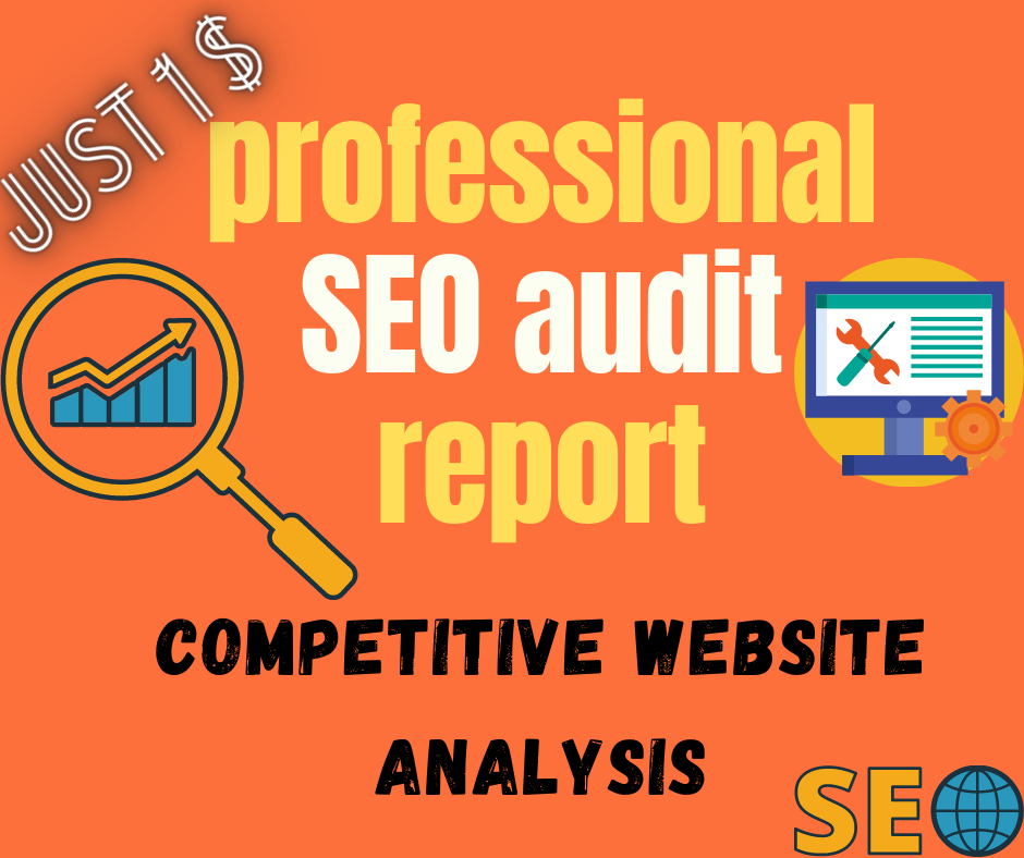 professional SEO audit report and a competitive websi...