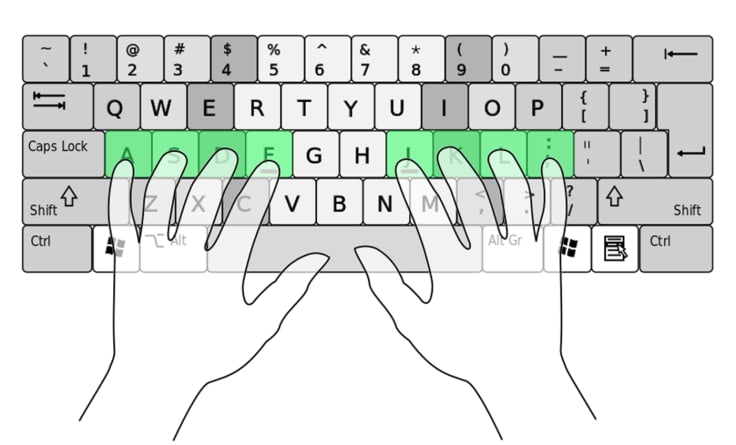 I m dodo certified on typing having great experience ...