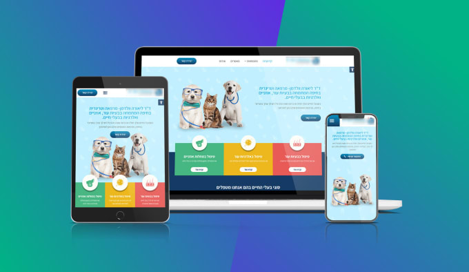 I will do web design landing page