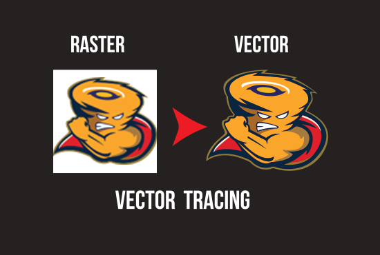 I will do vector tracing of any low quality logo prof...