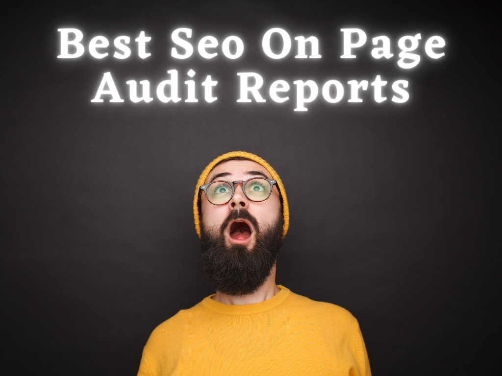 i will do High Quality on page seo audit for your web...