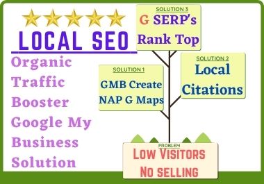 I will deploy the best google local SEO strategy in t...