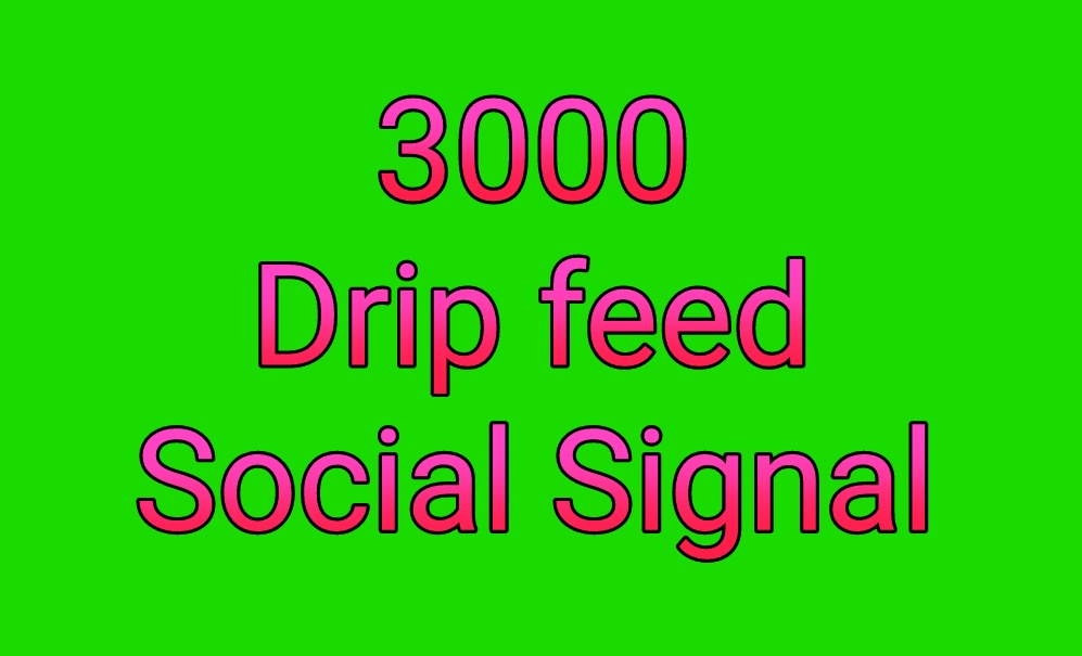Manually high quality drip feed 3000 best quality seo...