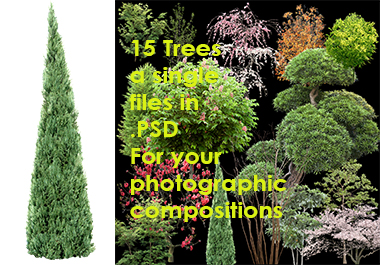 The graphics you want - 15 psd trees - perfect and pr...