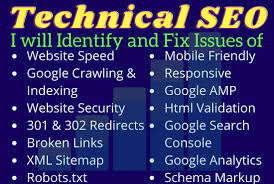 fix WordPress SEO Errors. issues or technical on page...