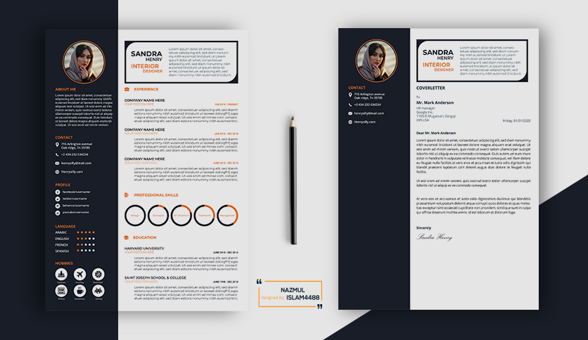 I will provide the best professional Resume, CV Desi...