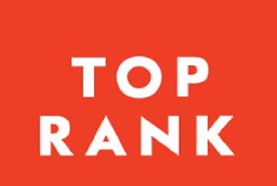 I will drive traffic google search quality organic fo...