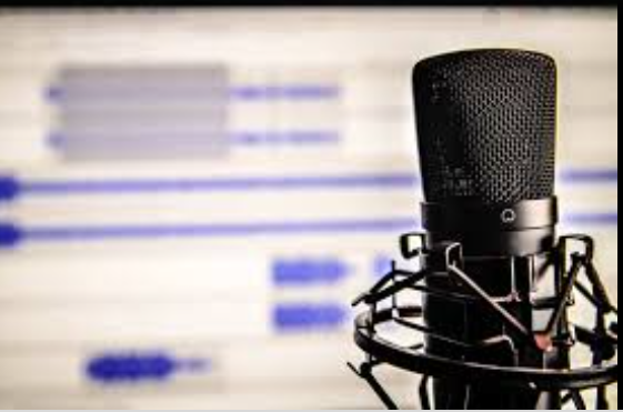 I will do a voice over to your text by a human real v...