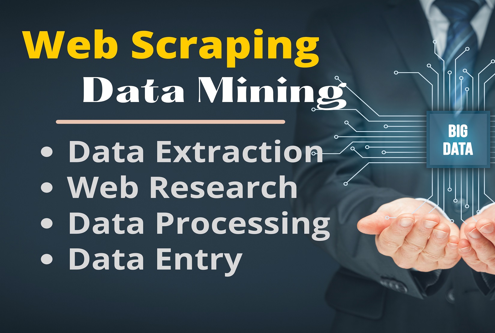 I will do web scraping, Data Mining & Data entry...