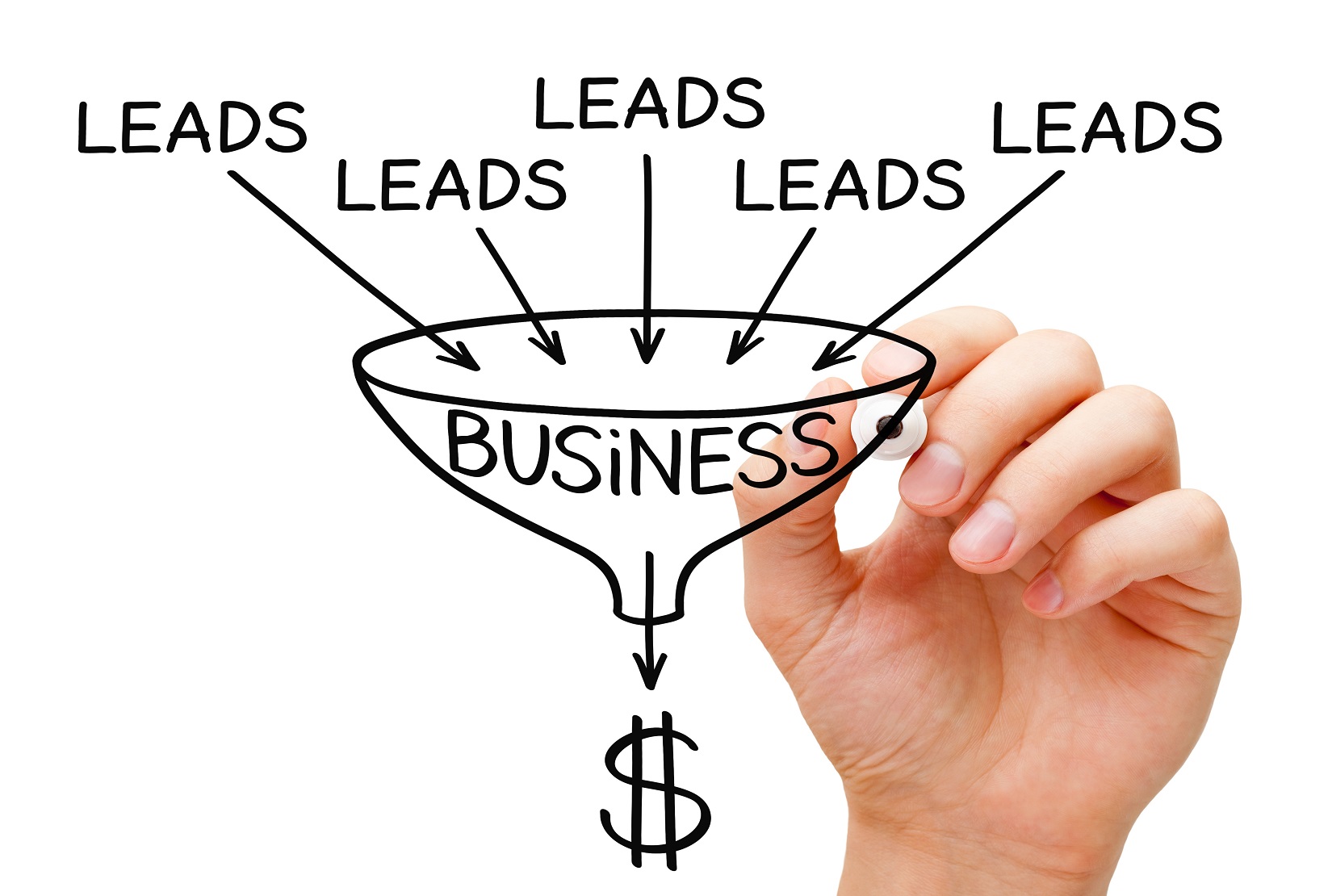 I will do business listing & Provide LinkedIn lea...