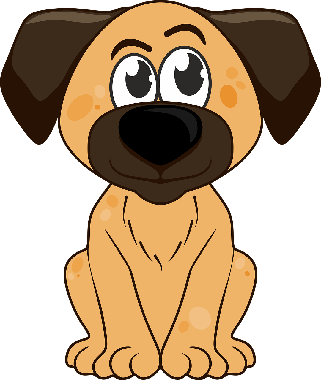 Pet Grooming vedio site builder