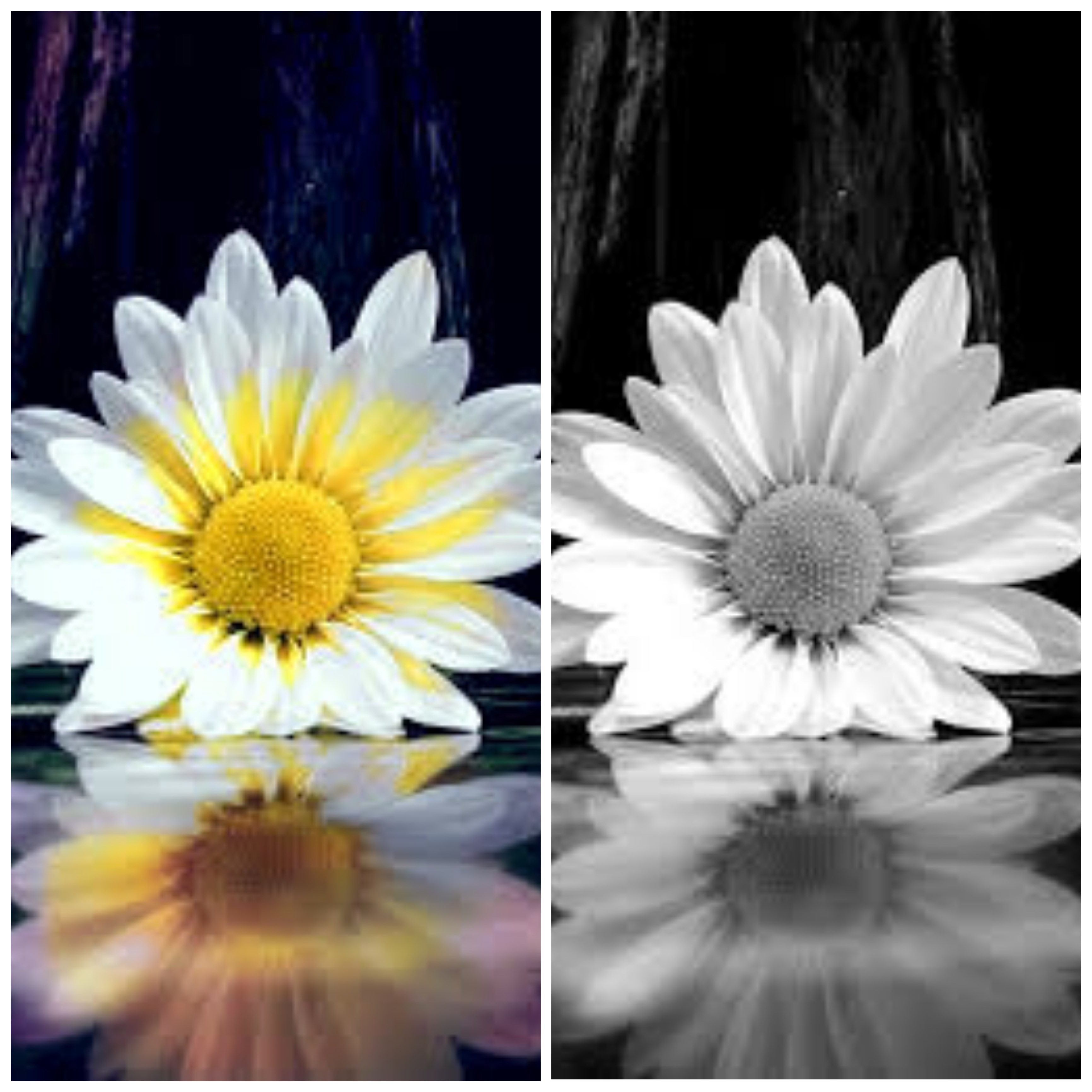 Colour pictures black and white