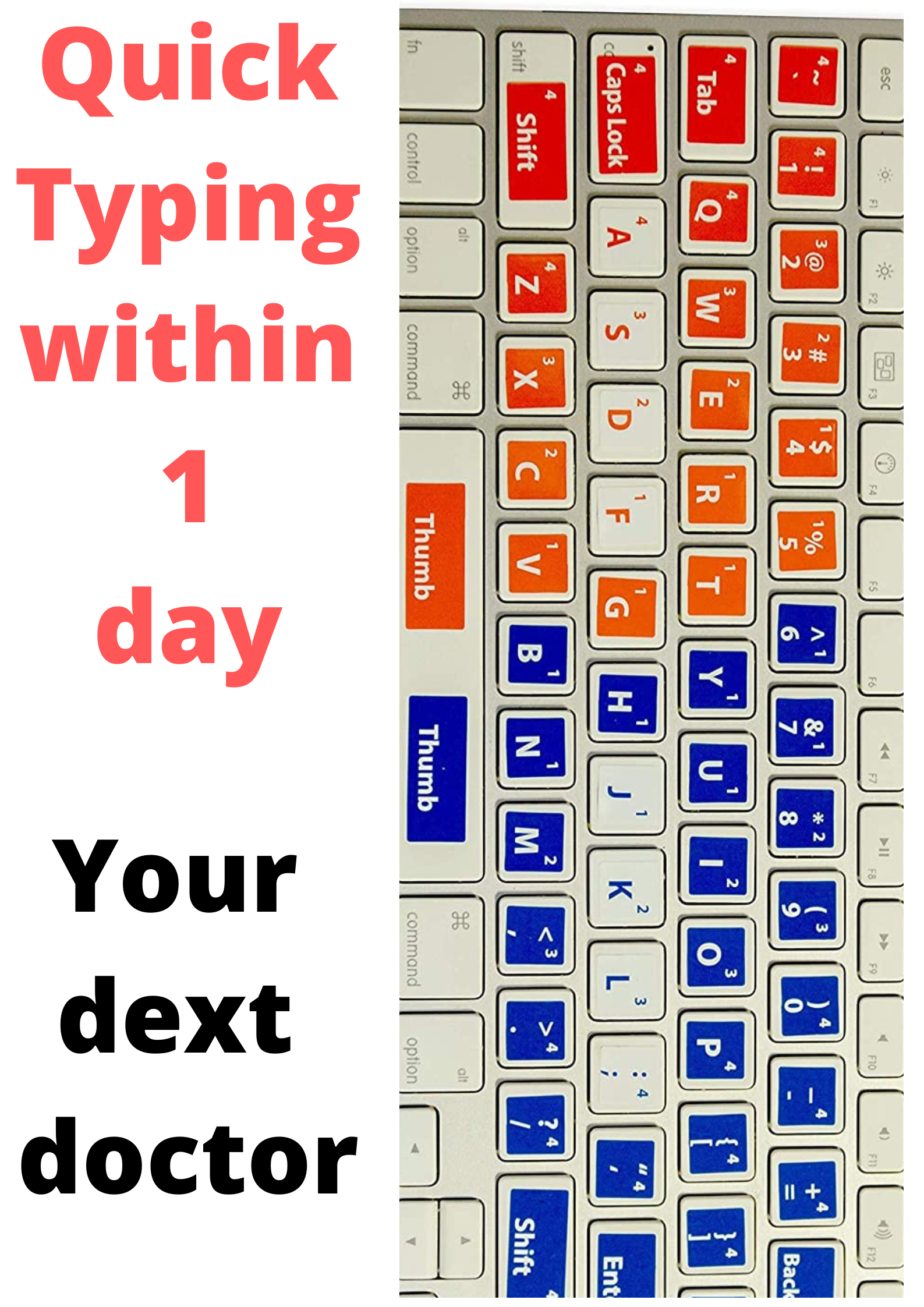 Fast and Quality document typing