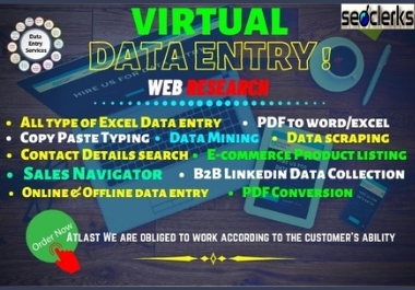 I will do 1000+ fast typing data entry, copy paste, ...