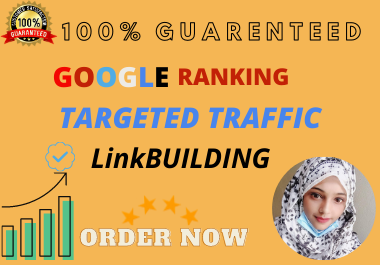I will do professional link building SEO for your web...