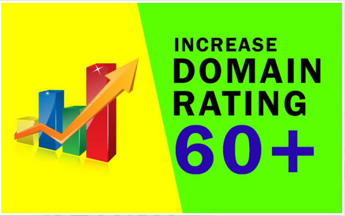 Increase DOMAIN RATING 60+ with high authority backli...